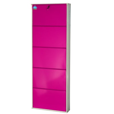 Delite Kom 24 Inches wide Five Door Powder Coated Wall Mounted Metallic Ivory Pink Metal Shoe Rack  (Pink, 5 Shelves)